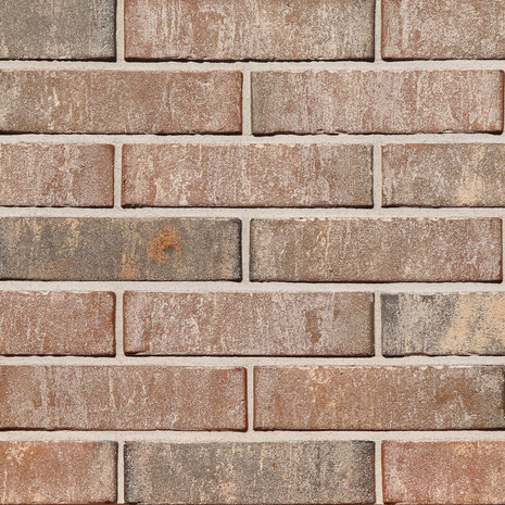 Марксбург Белый, картинка 2