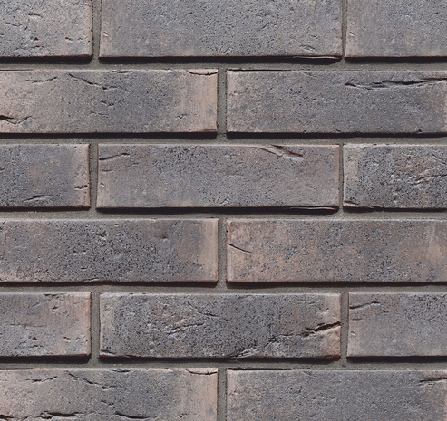 Мангейм Шварц, картинка 2