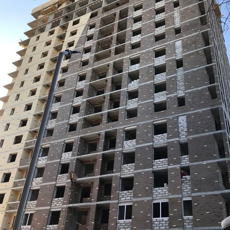 Рочестер Кора дерева, картинка 3