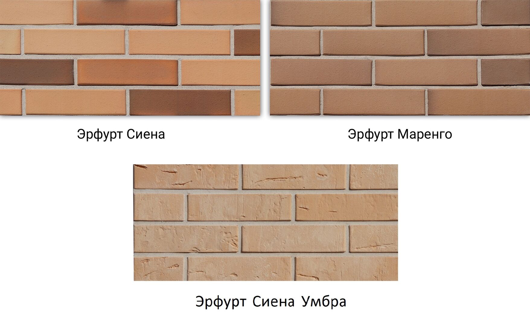 Эрфурт Сиена, Эрфурт Маренго